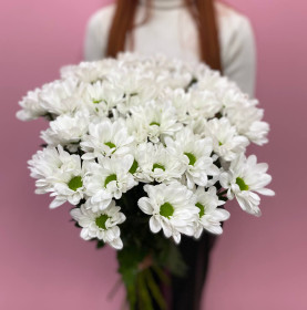 Фото Хризантемы кустовые - 4